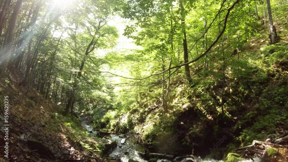 Mountainous River Flows Down in Spring Forest Mountainous River Flows Down in Spring Forest