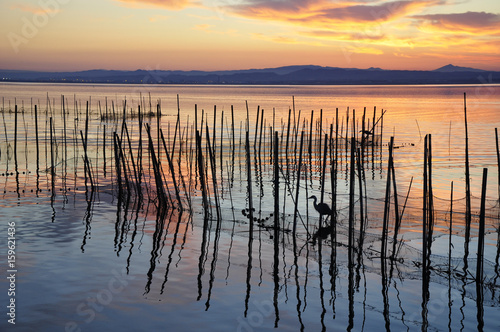 Esperando la pesca  Albufera 3