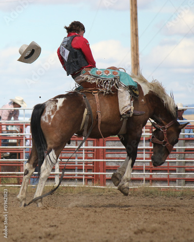 Cowboy riding a saddle bronc at a rodeo © sgarton