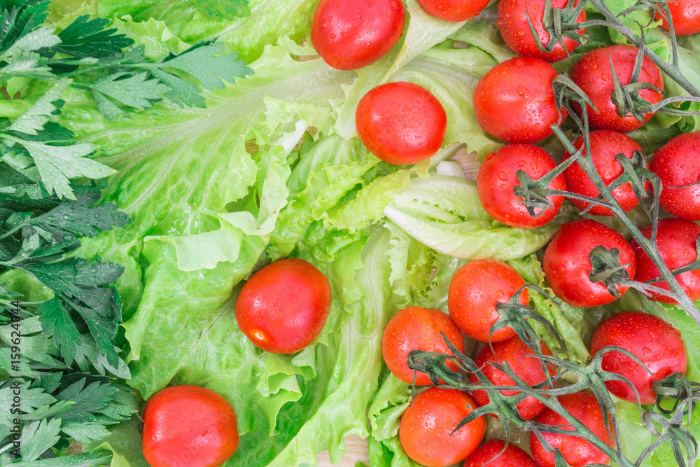 Cherry tomatoes covered with water drops lie on the basis of green lettuce leaves Cherry tomatoes covered with water drops lie on the basis of green lettuce leaves