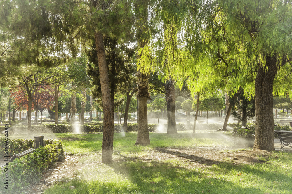 Arboles Arboles