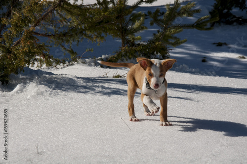 Jugando en la nieve,,,