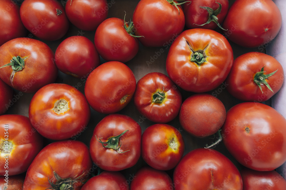Abundance of tomatoes Abundance of tomatoes