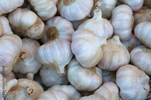Fresh white garlic bulbs on retail market display
