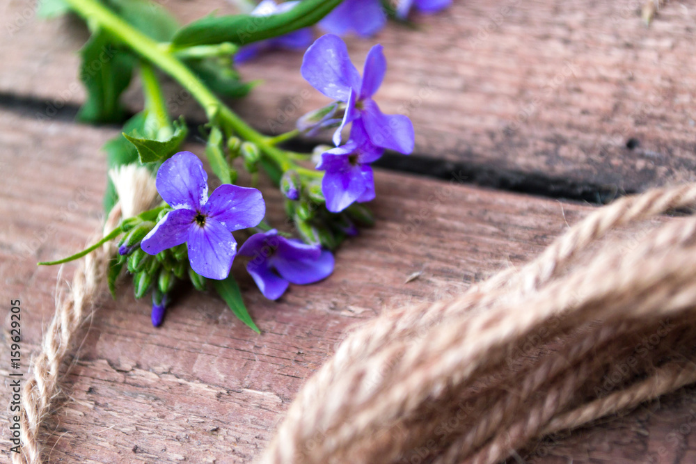Flowers on a wooden background bouquet creation. Flowers on a wooden background bouquet creation.