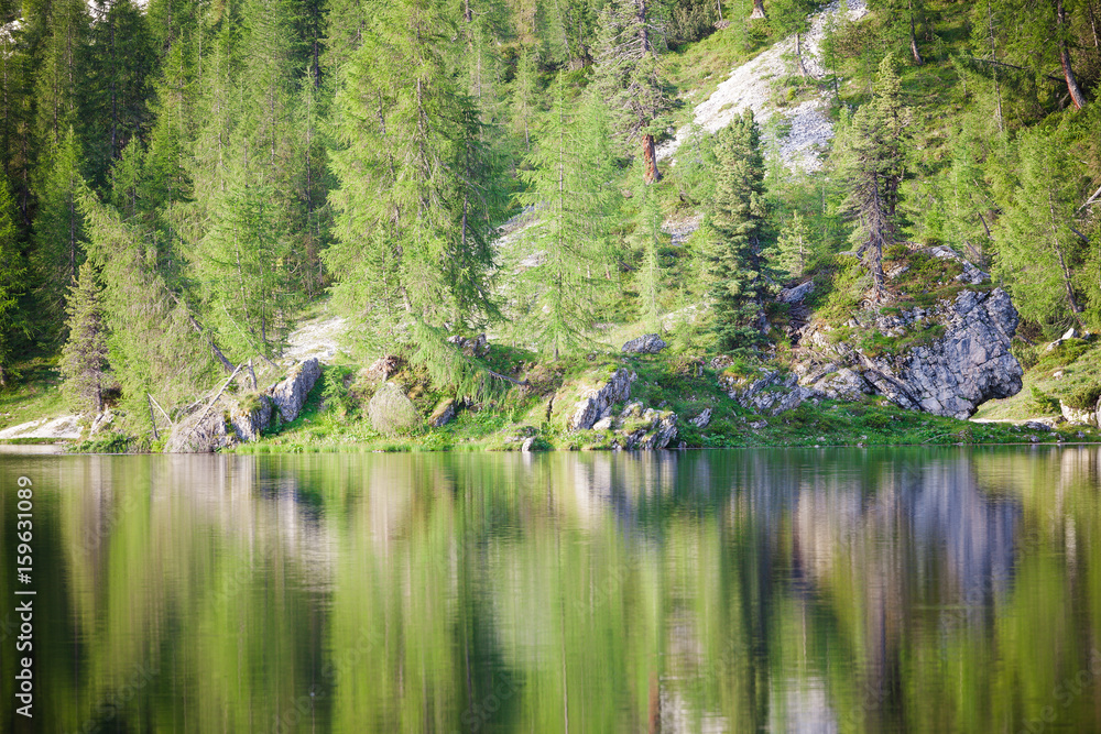 Trees reflected on Alpine mountain summer lake