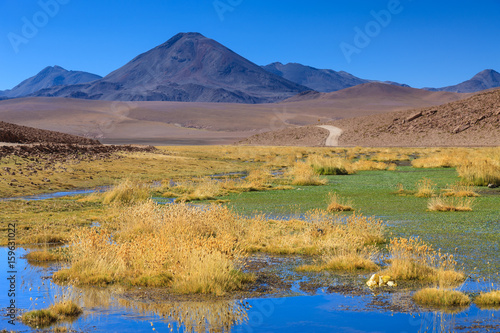 Atacama Desert  Chile