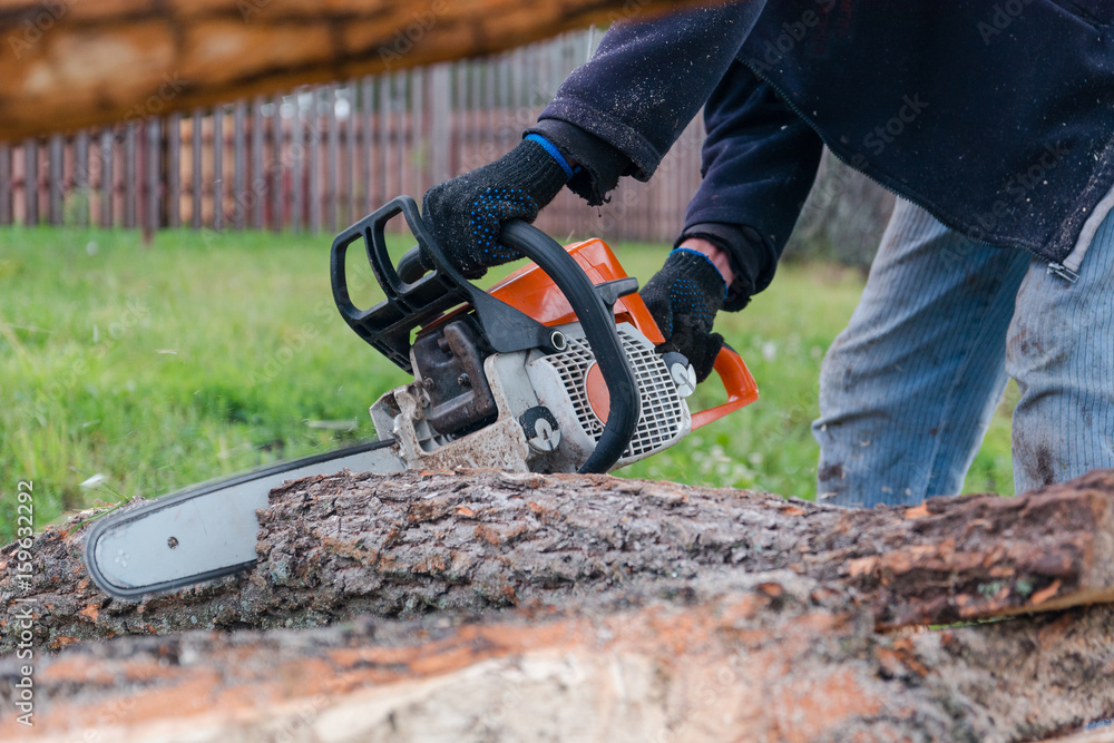 To saw a tree gasoline saw. The man saws a tree. The forester with a saw To saw a tree gasoline saw. The man saws a tree. The forester with a saw