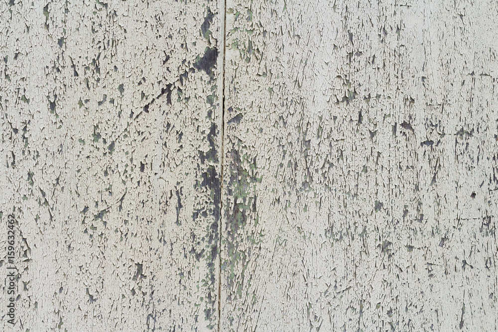 Obraz premium wood texture background