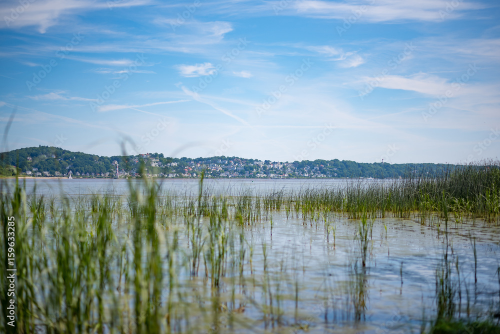 Hamburg Blankenese seen through reeds on the opposite shore of the Elbe river