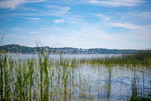 Fototapeta Naklejka Na Ścianę i Meble -  Hamburg Blankenese seen through reeds on the opposite shore of the Elbe river