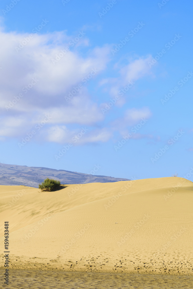 Sand Dunes on Gran Canaria