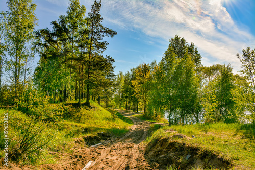 Summer morning