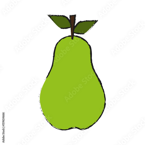 pear fruit icon image vector illustration design 