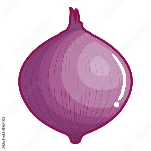 onion fresh vegetable icon vector illustration design