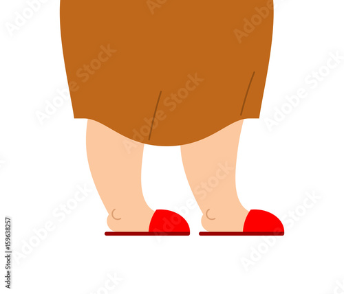 Grandmother legs are in slippers. feet of an elderly woman isolated