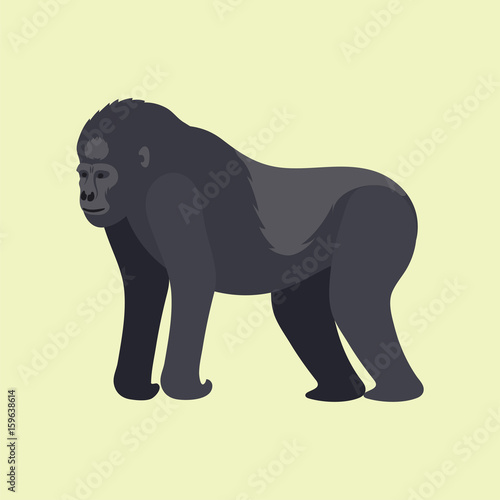 Gorila monkey rare animal vector cartoon macaque nature primate character wild zoo ape chimpanzee