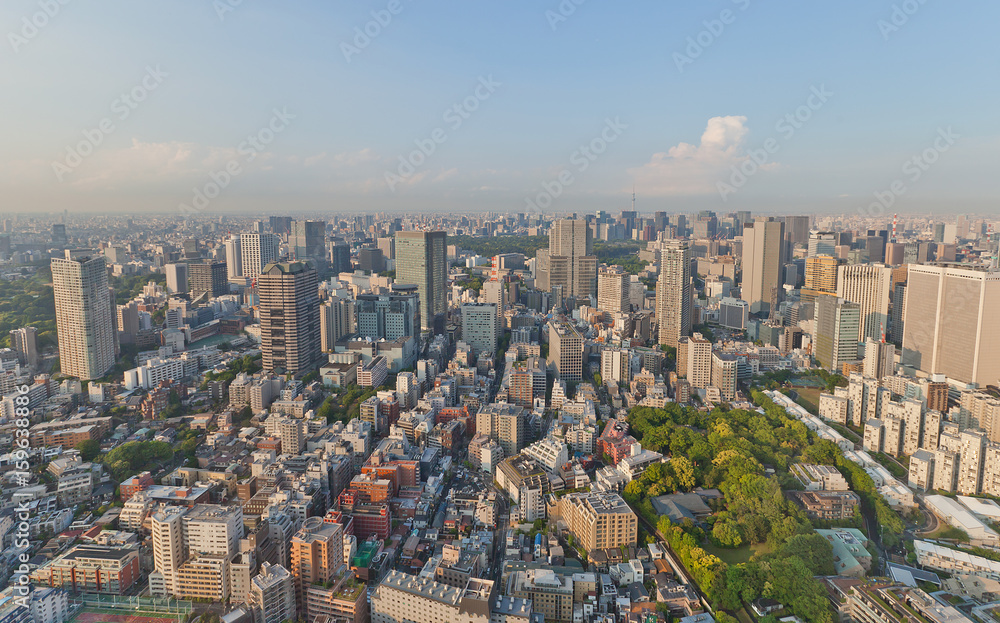 Fototapeta premium Bird view of Akasaka district of Tokyo, Japan