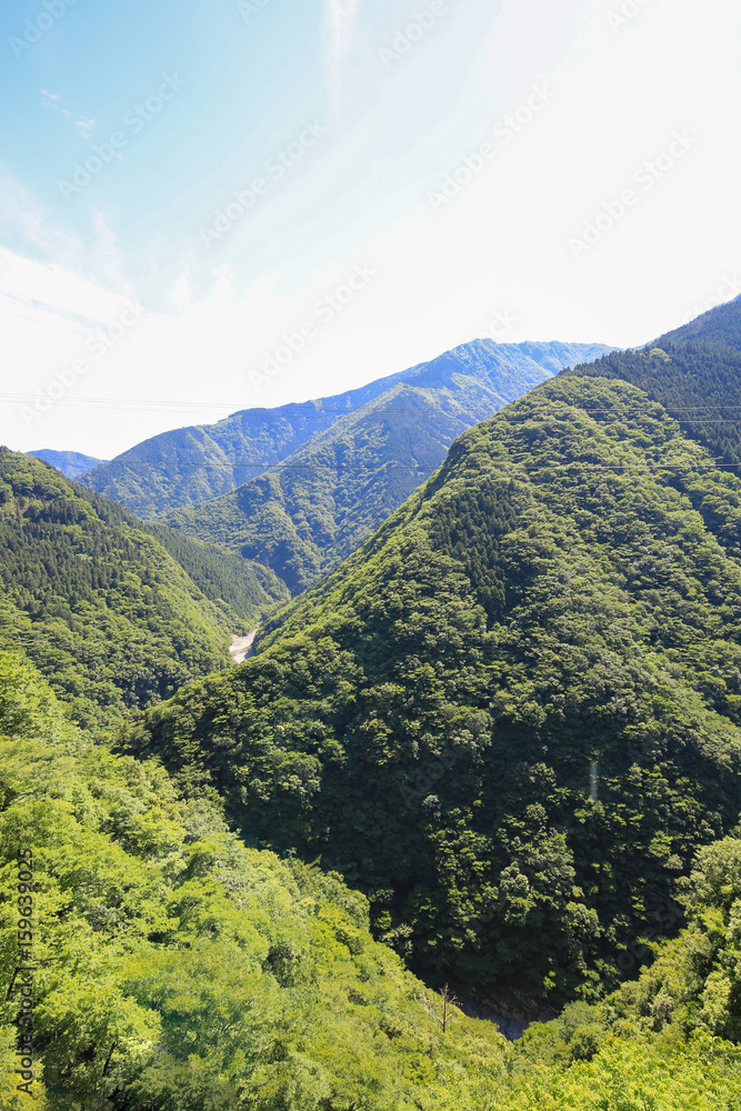 Obraz premium 徳島県三好市 祖谷渓