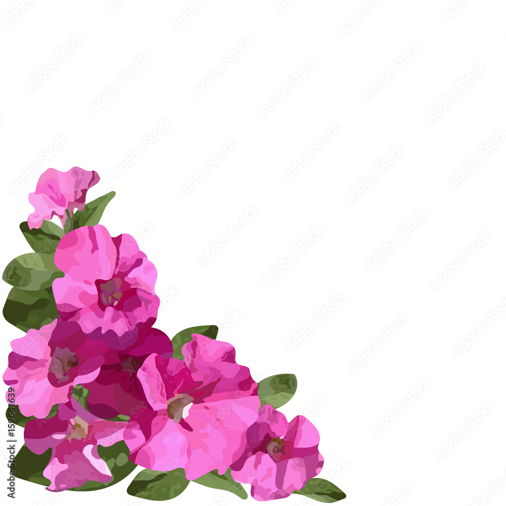 Flower Petunia plant, bouquet. Vector illustration. Flower Petunia plant, bouquet. Vector illustration.