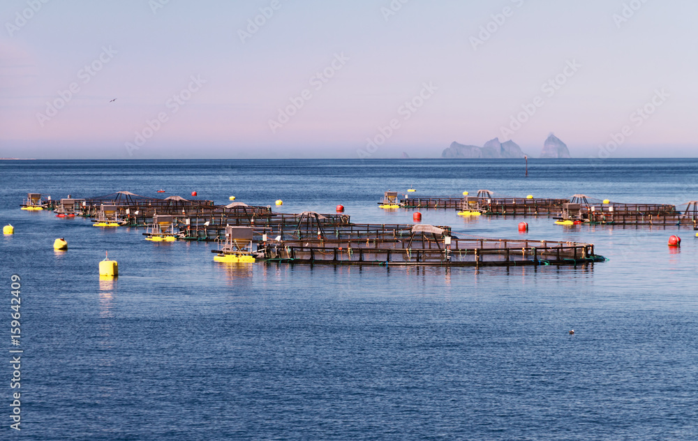  Sea water fishing farm in northern Norway.