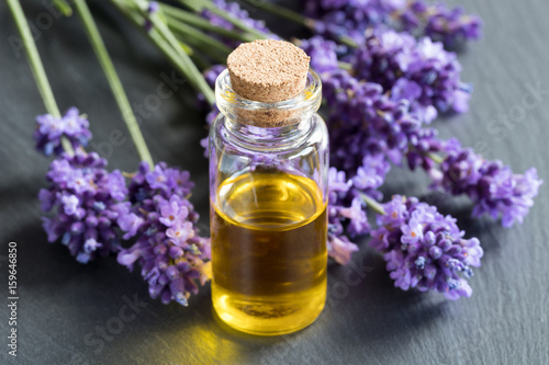 A bottle of essential oil with fresh lavender twigs