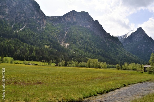 Berge mit Wiese in Tirol
