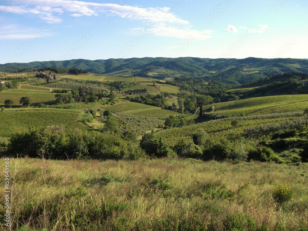 Hügellandschaft mit Feldern in Italien