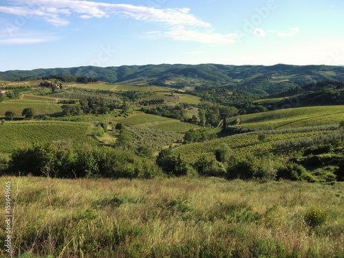 H  gellandschaft mit Feldern in Italien
