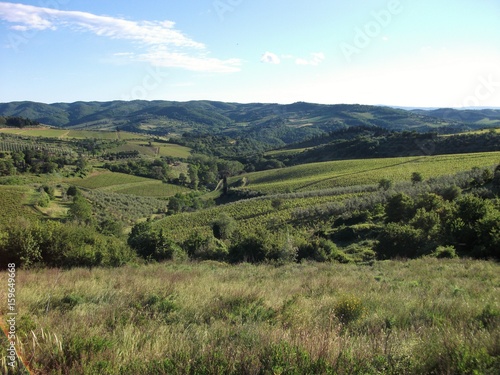 Hügellandschaft mit Feldern in Italien