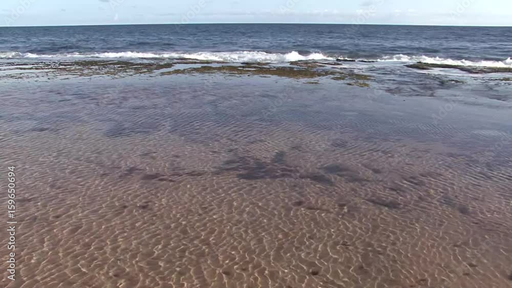 Hawaiian Tide Pools Hawaiian Tide Pools