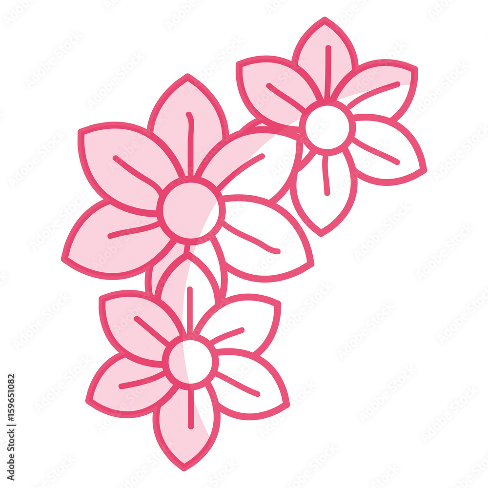 beautiful flowers decorative icon vector illustration design vector illustration design beautiful flowers decorative icon vector illustration design vector illustration design