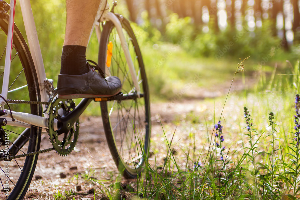 Naklejka premium Young bicyclist riding in the forest