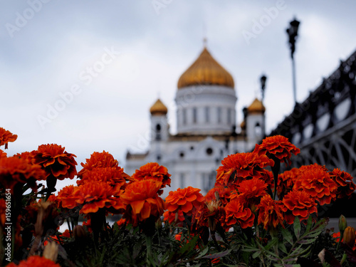 Cathedral of Christ the Saviour