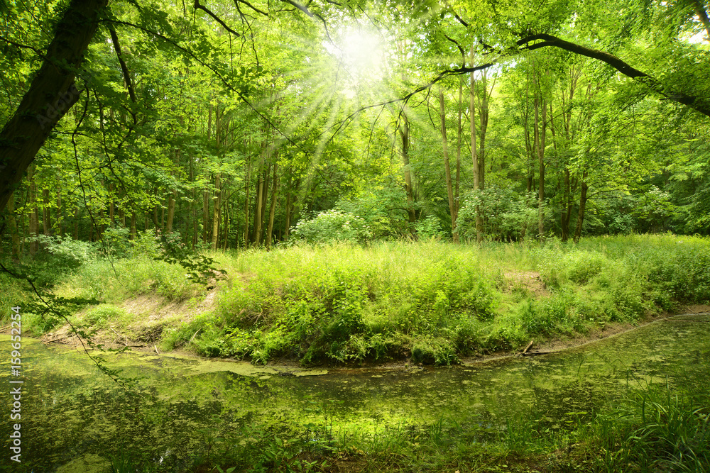 Landschaft 341 Landschaft 341