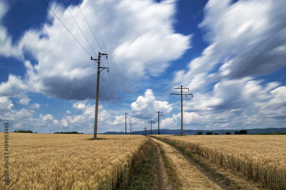 Road with electric poles through field of wheat