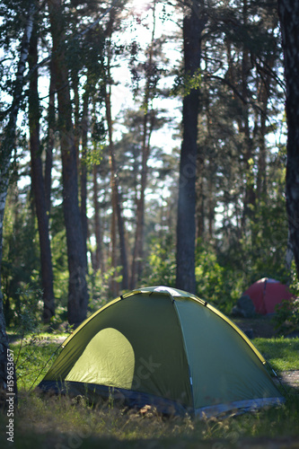 Hiking in the forest in summer, healthy camping