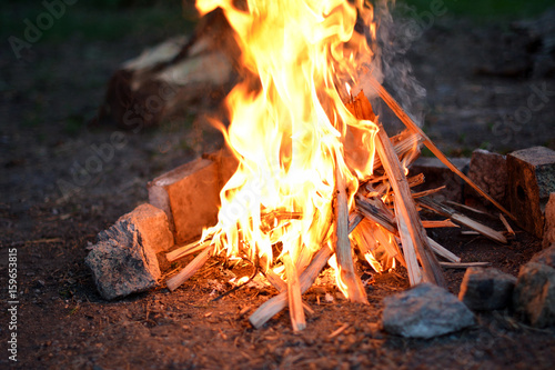 Campfire in the forest in summer