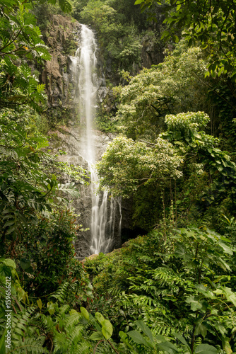 Fototapeta Naklejka Na Ścianę i Meble -  Wailua Falls on the road to Hana in Maui