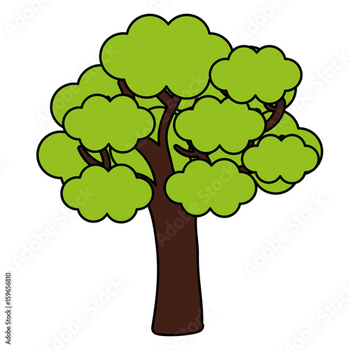 tree plant isolated icon vector illustration design