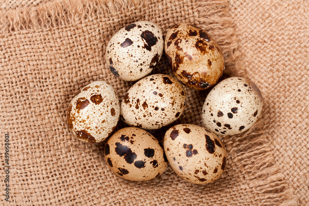 Several quail eggs on burlap. Close-up. Top view