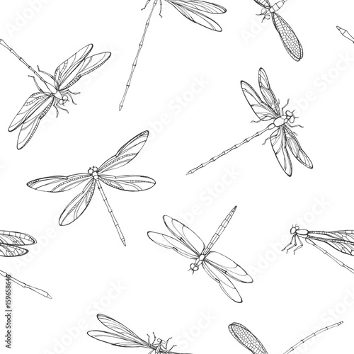 Seamless pattern with dragonflies. Black and white vector illustration.