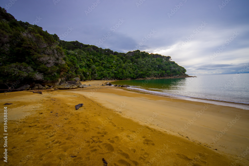 Beautiful coastal view located in Abel Tasman National Park, in New Zealand Beautiful coastal view located in Abel Tasman National Park, in New Zealand