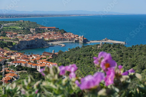 The medieval village of Collioure on the shore of the Mediterranean sea in the south of France, seen from the heights, Languedoc Roussillon, Pyrenees Orientales