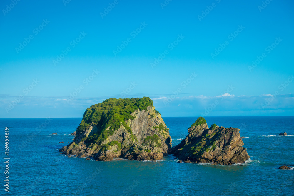 Wall Island near Cape Foulwind, View from the Cape Foulwind walkway at the Seal Colony, Tauranga Bay. New Zealand