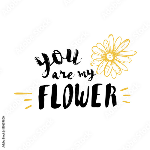 lettering modern calligraphy. You are my Flower