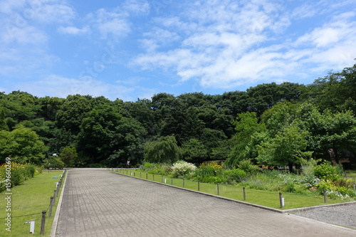 Wallpaper Mural ６月の植物公園 Torontodigital.ca