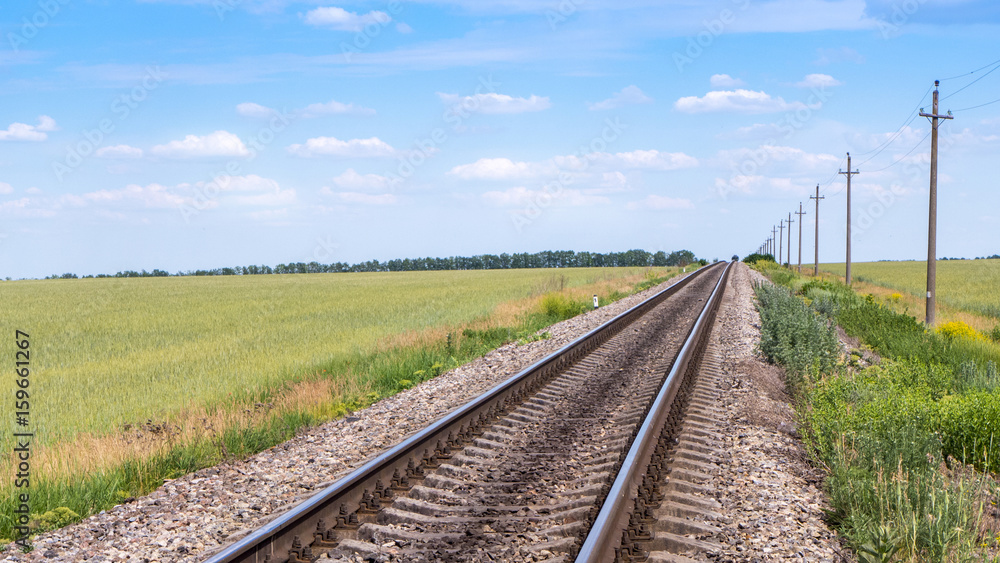 Rails for a train in summer field