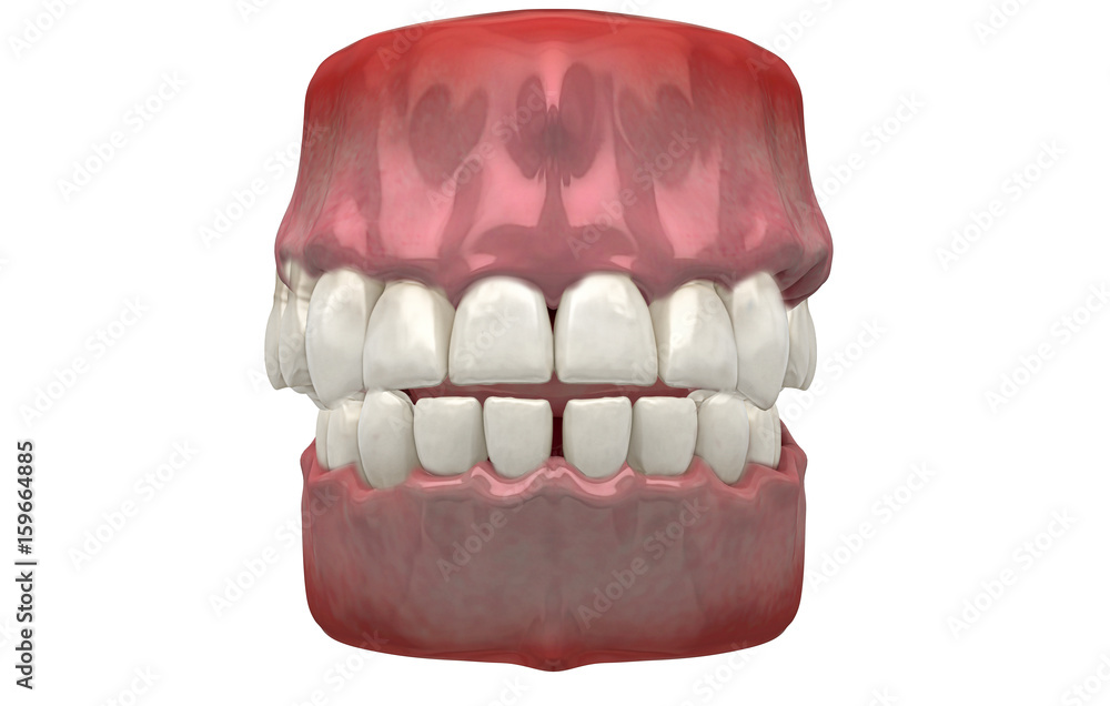 Denti Umani, Dentista, Dentizione, Anatomia, 3d Denti Umani, Dentista, Dentizione, Anatomia, 3d