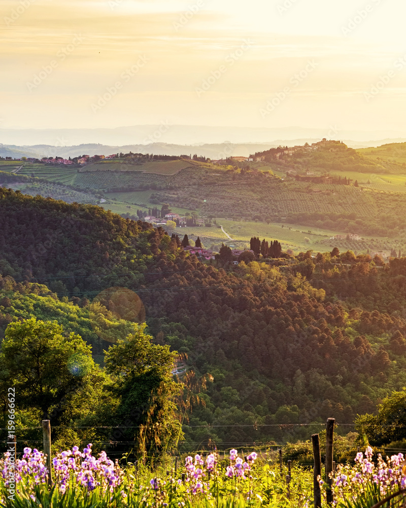 Chianti Italy Rolling Hillside at Sunset
